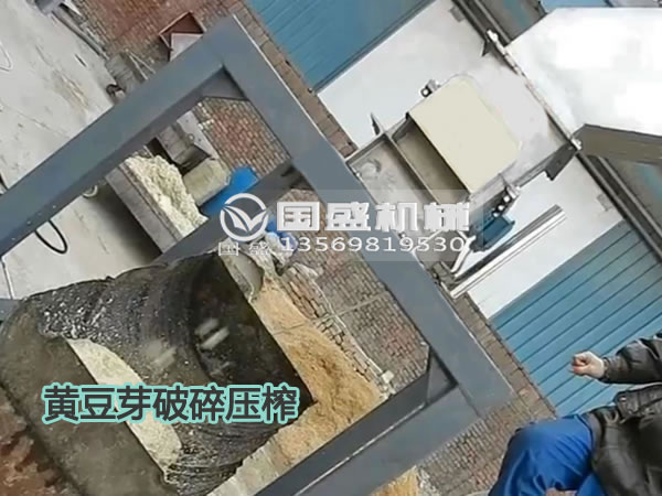 抖阴免费看污视频黄豆芽固液分离机