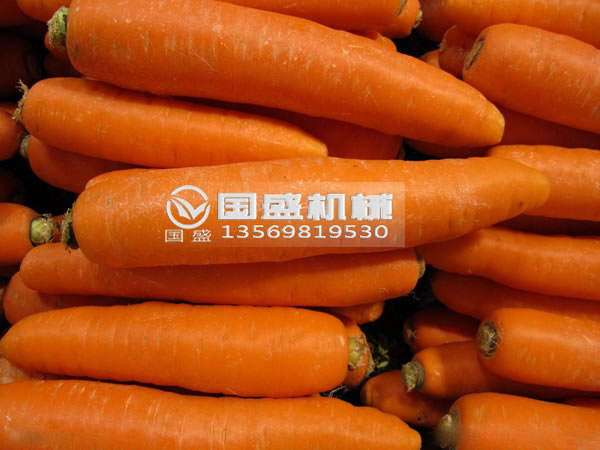 抖阴免费看污视频胡萝卜脱水挤压机