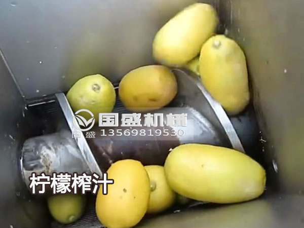 抖阴免费看污视频新款大型柠檬榨汁机