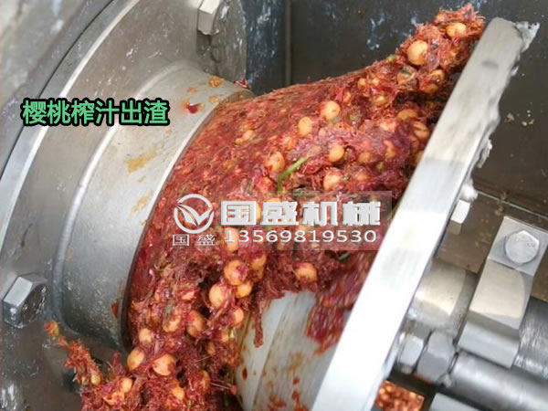 抖阴免费看污视频樱桃螺旋压榨脱水机